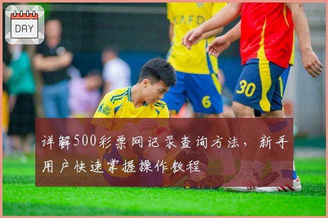详解500彩票网记录查询方法，新手用户快速掌握操作教程