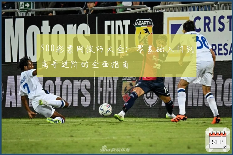 500彩票网技巧大全：零基础入门到高手进阶的全面指南